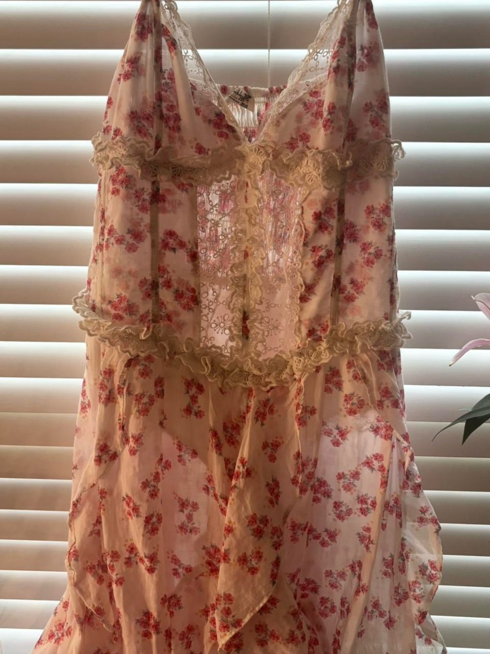 Intimately By... Floral Sheer Maxi Dress in Blush & Coral